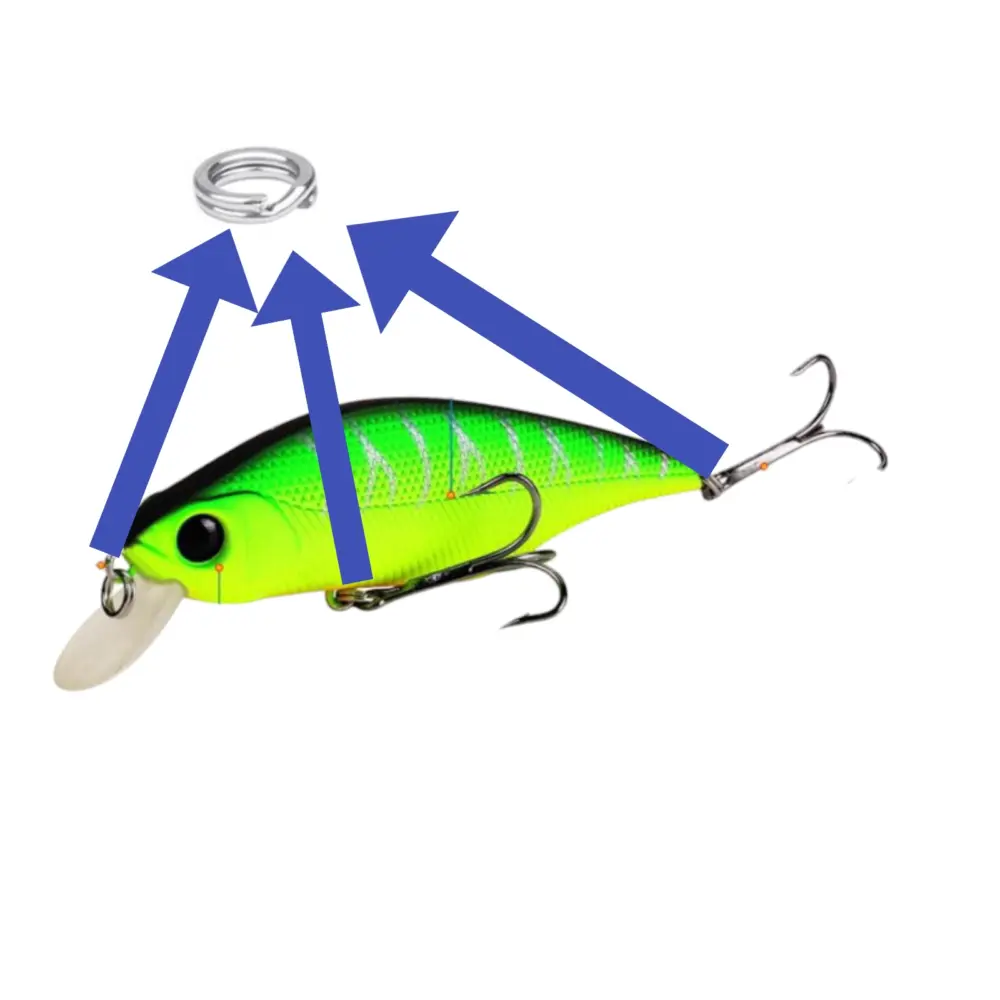 -21061691311863599892