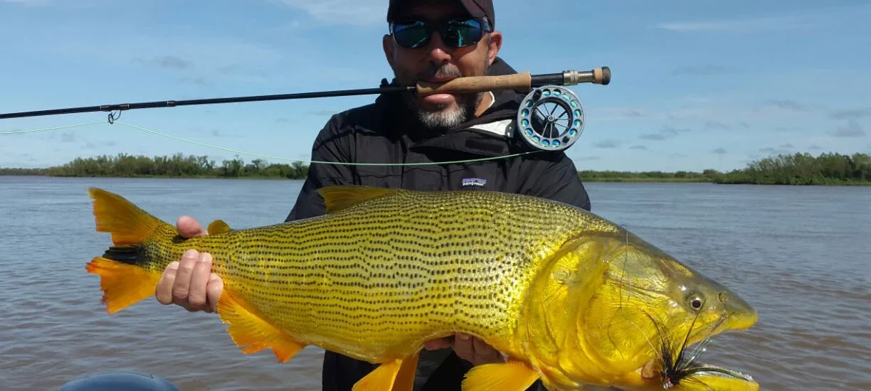 Cómo pescar dorados en el río Paraná: señuelos, cañas y cebos recomendados